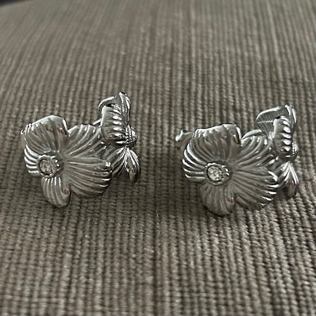 Oorbellen Salve · zilver, foto 2