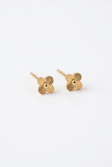 MParle Oorbellen Cuties