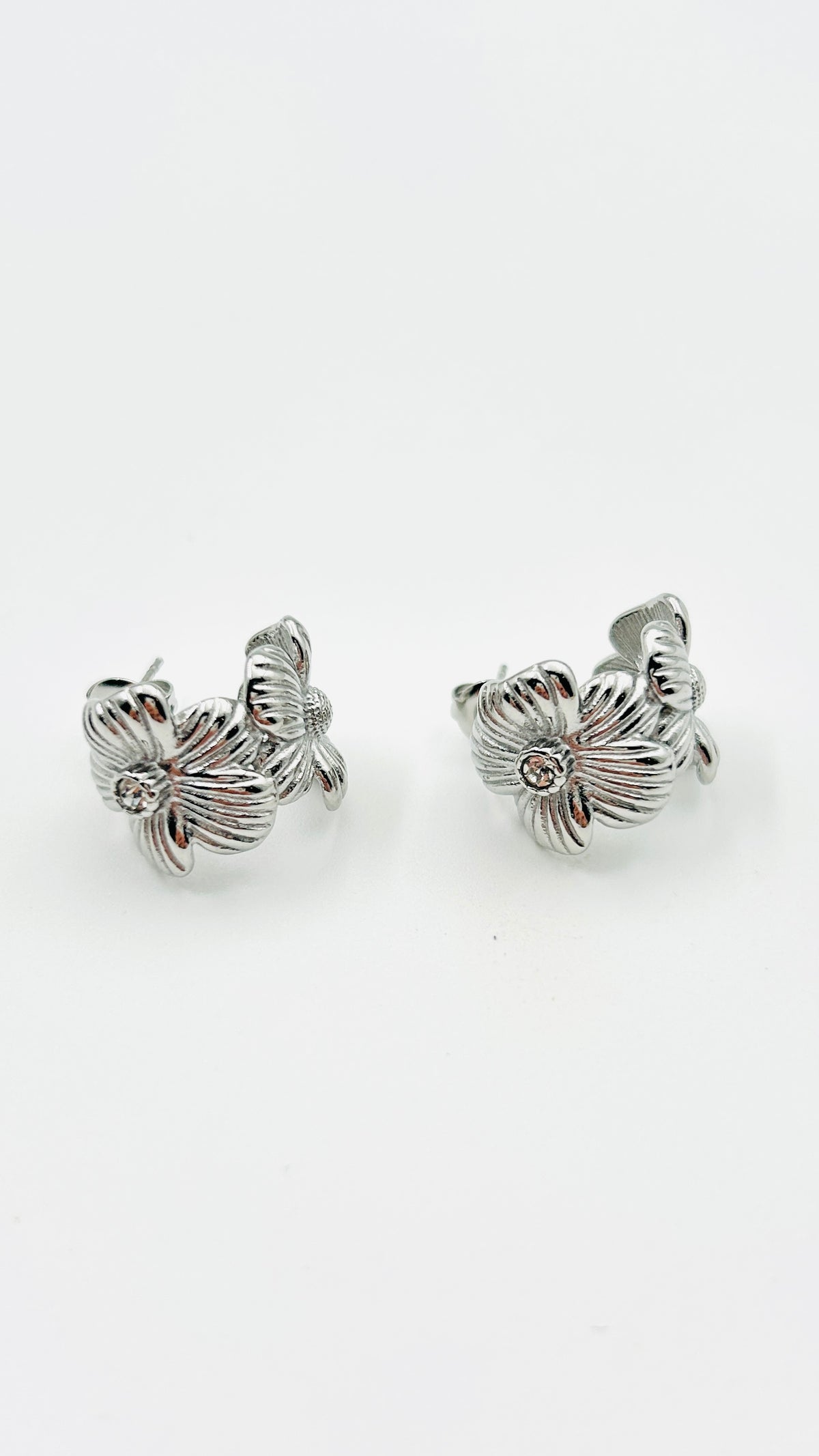 Oorbellen Salve · zilver