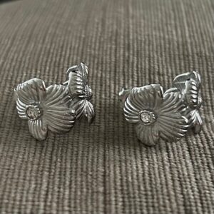 oorbellen salve silver